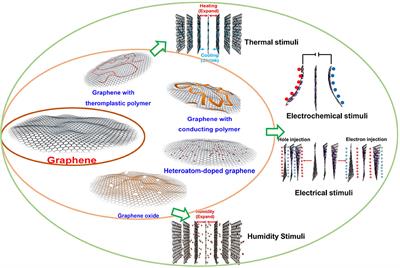 Tunable-Deformed Graphene Layers for Actuation